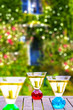 Apéritif au Jardin