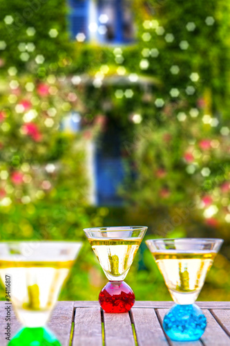 Photo: Apéritif au Jardin Apéritif au Jardin