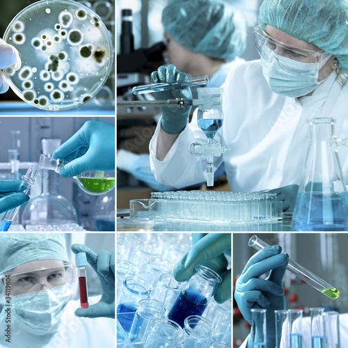 Photo: Laboratory Collage Laboratory Collage