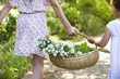 Rear view of siblings walking holding hands in garden