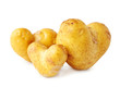 Heart- shaped potato on white background Heart- shaped potato on white background