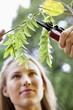 Young woman pruning plants
