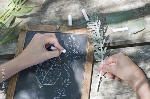 Photo: Little boy making drawing of leaves on slate outdoors Little boy making drawing of leaves on slate outdoors