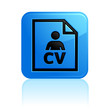 Icône Curriculum vitae