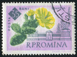 poststamp flower
