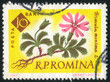 poststamp flower