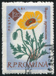 poststamp flower