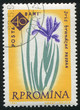 poststamp flower