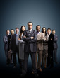 Young attractive business people