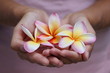 Handful of frangipanier's flowers