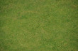 texture pelouse
