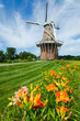 Summer flowers with historic duch windmill on background Summer flowers with historic duch windmill on background