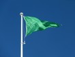 Drapeau vert