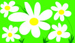 blumen blumen