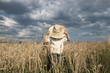 Photo: Boy in the field Boy in the field