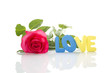 Red Rose and the text of "LOVE"