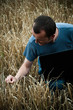agriculteur et ordinateur dans un champ de blé