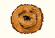 Smile-shaped log of wood isolate on white