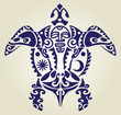 maori tartaruga delfini manta