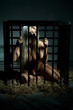bondage art style with beautiful nude slave girl locked in cage