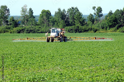 Photo: Full front view of tractor spraying pesticide on crop Full front view of tractor spraying pesticide on crop