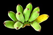 Bunch of bananas isolated on black background