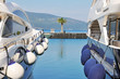 Photo: Yachts and and palm tree Yachts and and palm tree