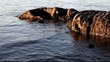 Rock in water Full HD