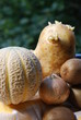 Brown vegetables and fruits