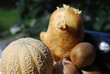 Vegetables and fruits