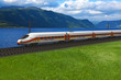 High speed train passing by the mountains and flords