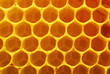 honeycomb