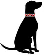 Hund Zeckenhalsband