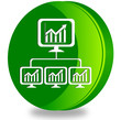 Histogram glossy icon
