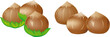 Hazelnuts