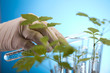 Floral science in  laboratory