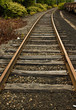 Rail