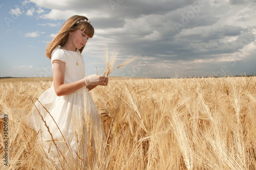 Photo: girl wearing first communion dress between barley girl wearing first communion dress between barley