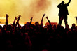 concert crowd, actor on stage concert crowd, actor on stage