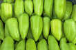 background with green papers