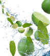 Photo en ligne au meilleur prix Fresh limes in motion