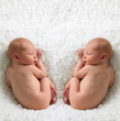 Newborn babies