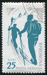 skier