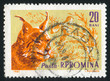 Lynx