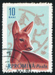 Roe Deer