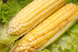 Corncobs