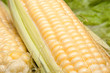 Corncobs