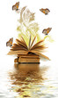 geöffnetes Buch grunge geöffnetes Buch grunge