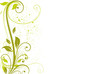 floral vert été