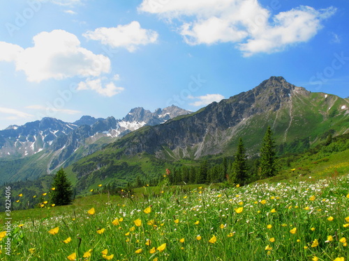 Photo: Blumenwiese im Hochgebirge Blumenwiese im Hochgebirge